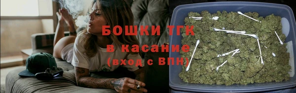 тгк Абаза