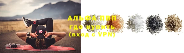 тгк Абаза