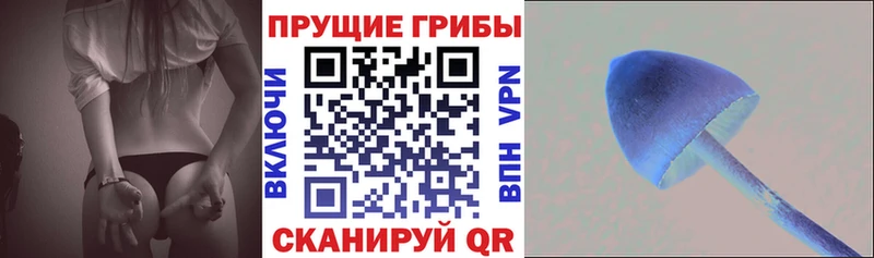 что такое наркотик  Магадан  Галлюциногенные грибы ЛСД 